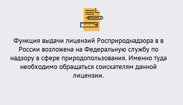 Почему нужно обратиться к нам? Верхняя Салда Лицензия Росприроднадзора. Под ключ! в Верхняя Салда