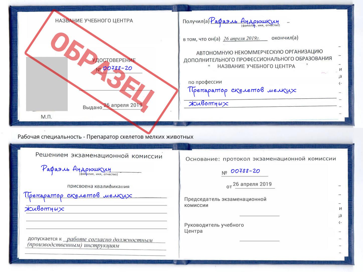 Препаратор скелетов мелких животных Верхняя Салда