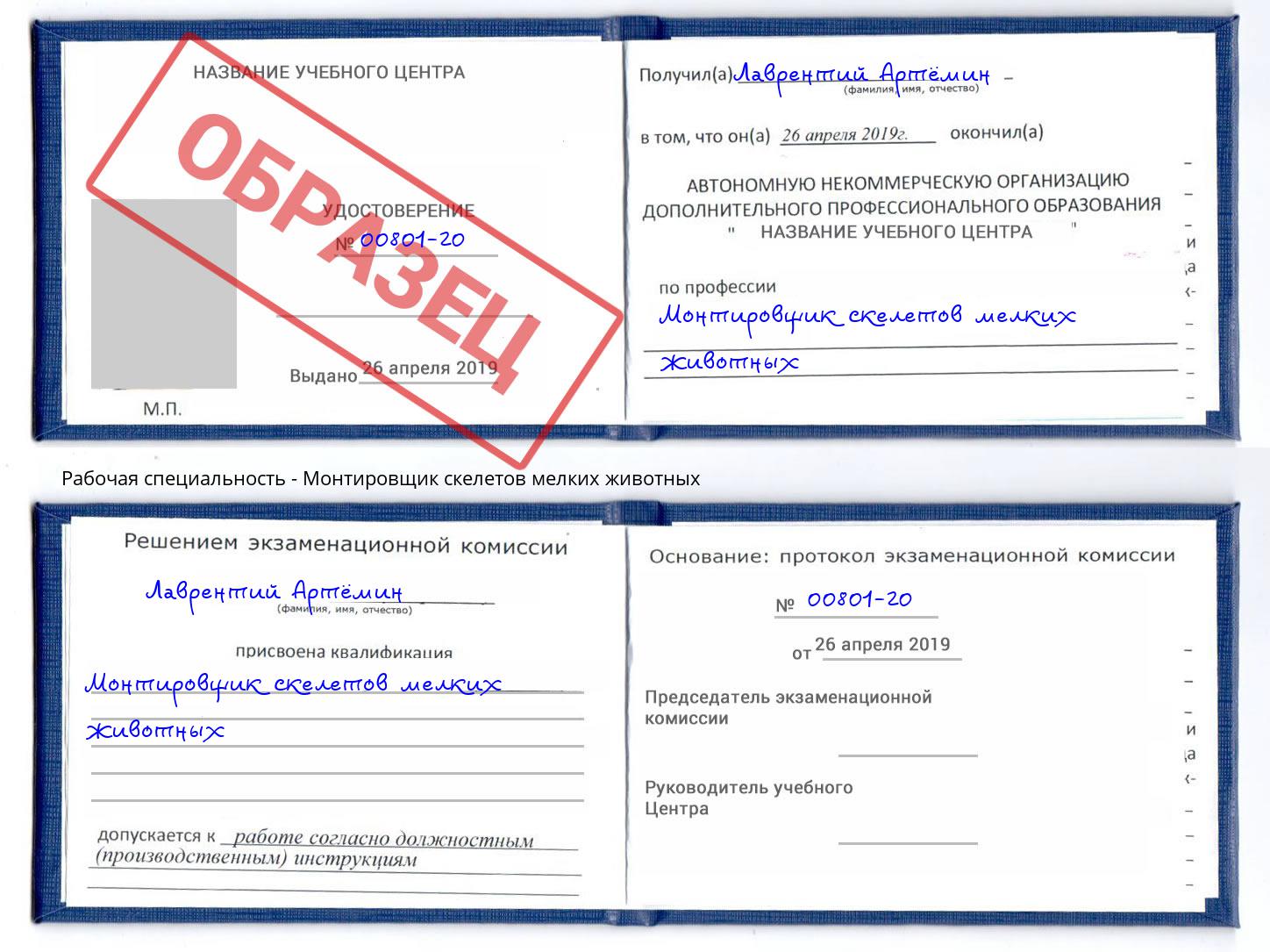 Монтировщик скелетов мелких животных Верхняя Салда