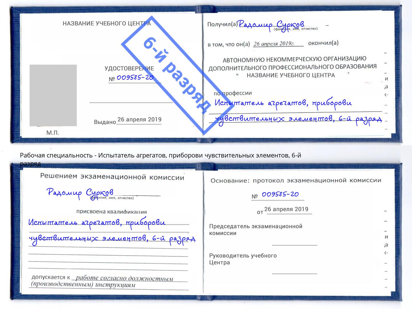 корочка 6-й разряд Испытатель агрегатов, приборови чувствительных элементов Верхняя Салда