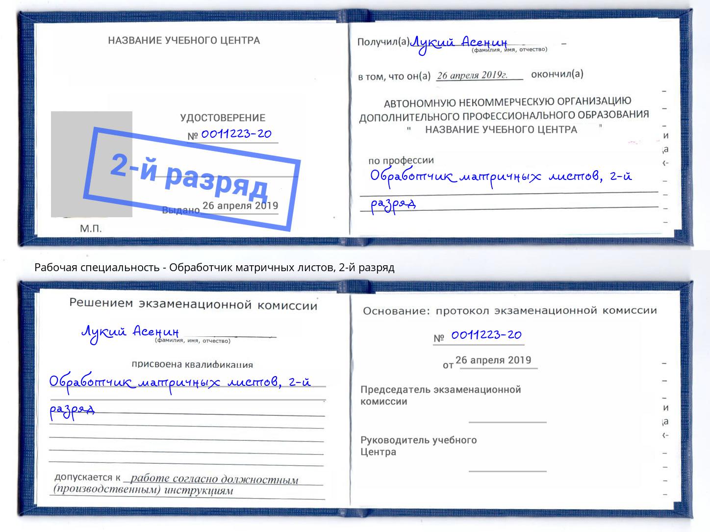 корочка 2-й разряд Обработчик матричных листов Верхняя Салда
