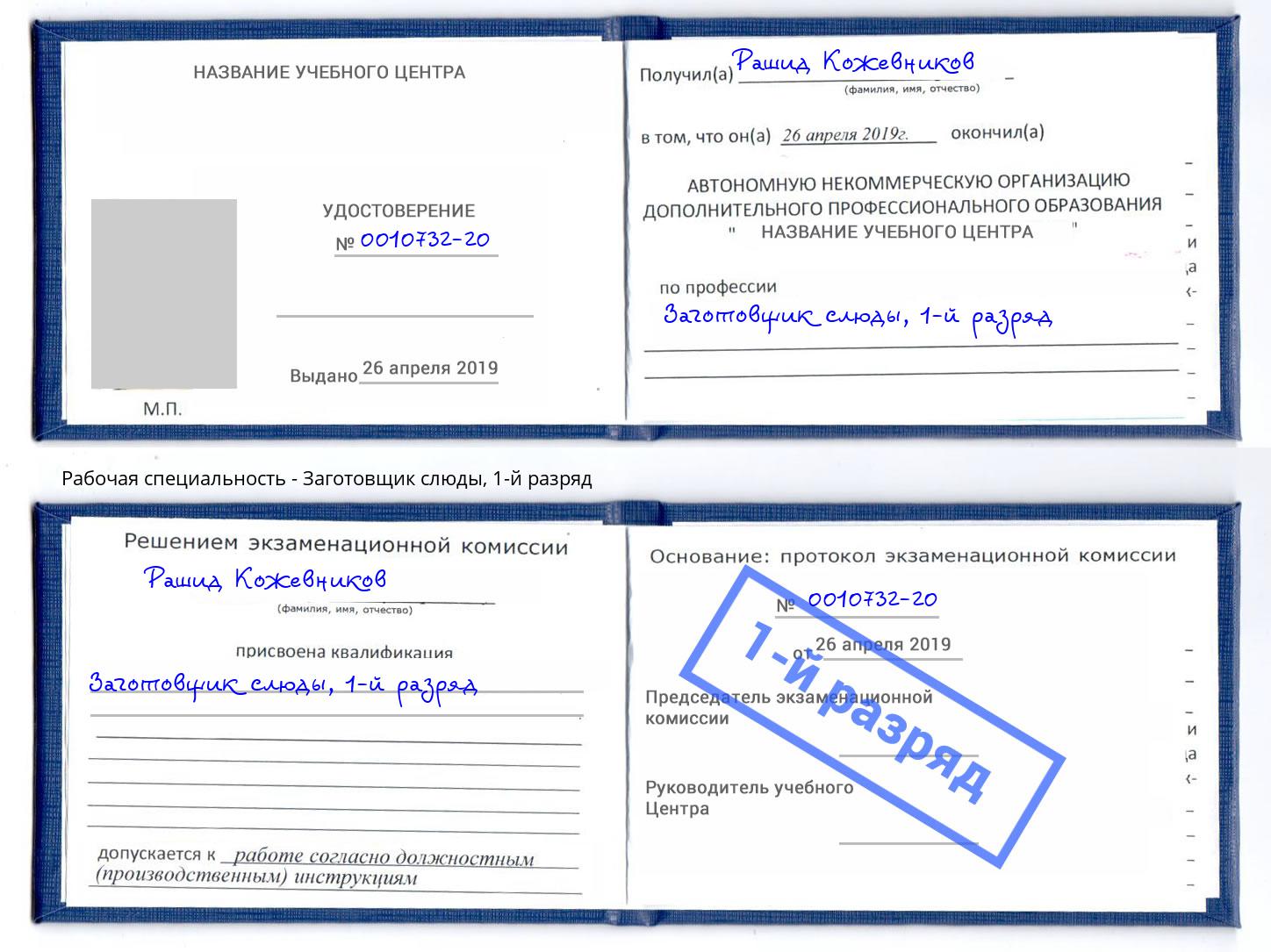 корочка 1-й разряд Заготовщик слюды Верхняя Салда