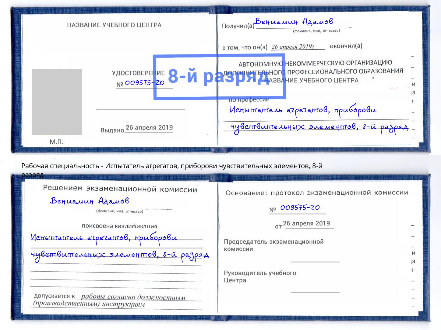 корочка 8-й разряд Испытатель агрегатов, приборови чувствительных элементов Верхняя Салда